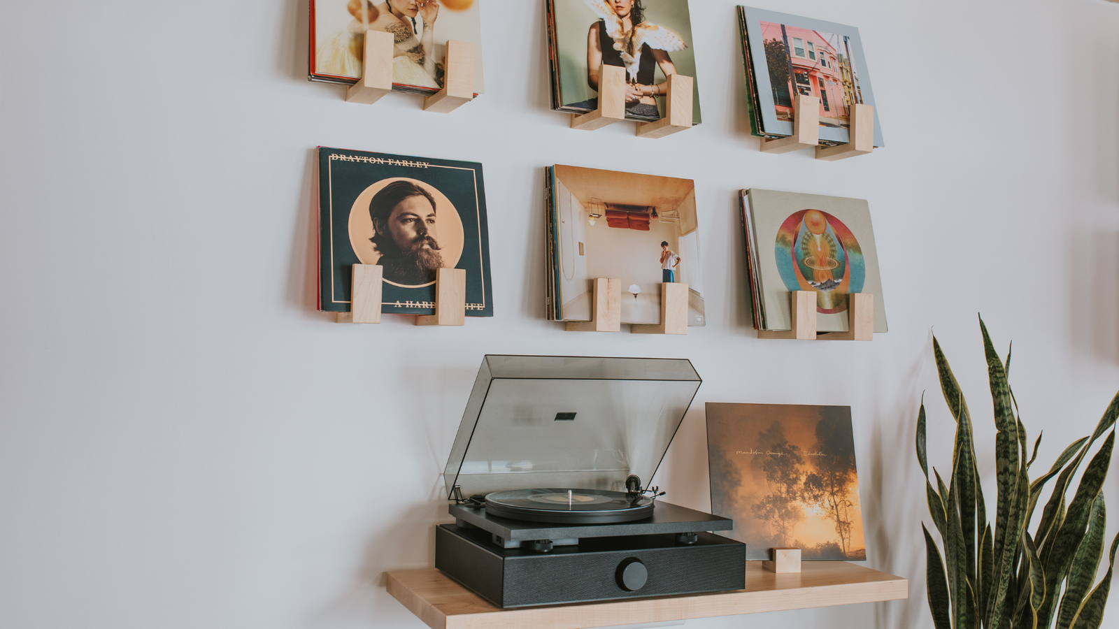 A wall displaying 6 record holders above a black Andover SpinDeck turntable and SpinBase speaker system sitting on a floating record table next to a snake plant